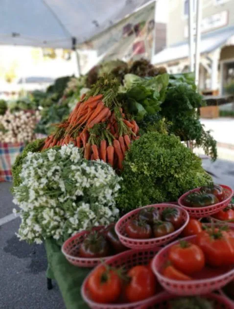 BF1 e1555351245838 Bountiful Farms