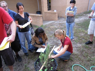 adulted adulted 400x300 Friday Update 11/18/11