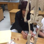 clay anatomy 2 e1445888345276 150x150 Friday Update 10/23/15