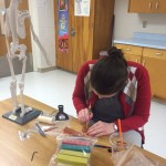 clay anatomy 5 e1445888382789 150x150 Friday Update 10/23/15