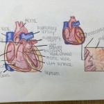 pharm tech 3 150x150 Friday Update 2/12/16