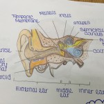 pharm tech 5 150x150 Friday Update 2/12/16