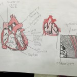 pharm tech 8 150x150 Friday Update 2/12/16