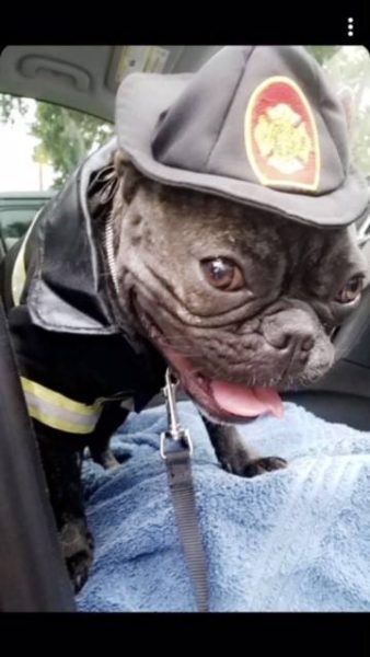 Fire 2 338x600 Friday Update 8/17/18