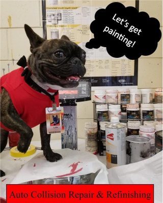 Friday Update 1/11/19 Lola 011119 e1547498135935 Friday Update 1/11/19