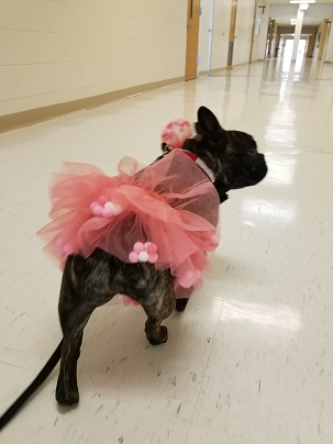 Valentine Lola in Hallway 021519