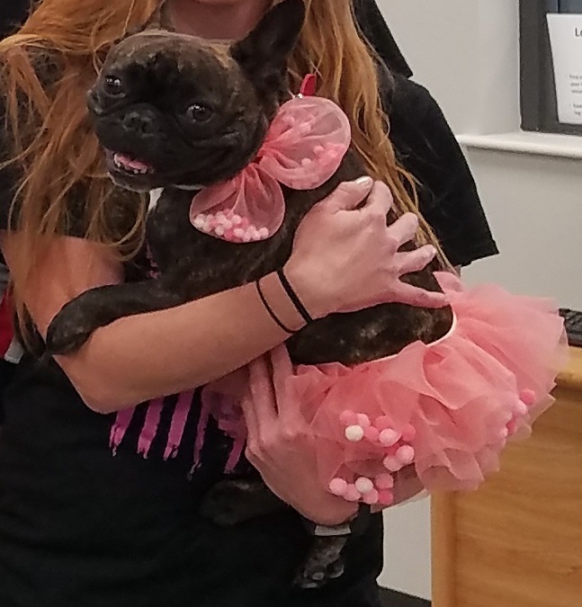 Valentine Lola2 Friday Update 02/15/19