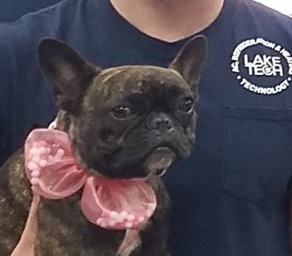 Valentine Lola3 Friday Update 10/11/19