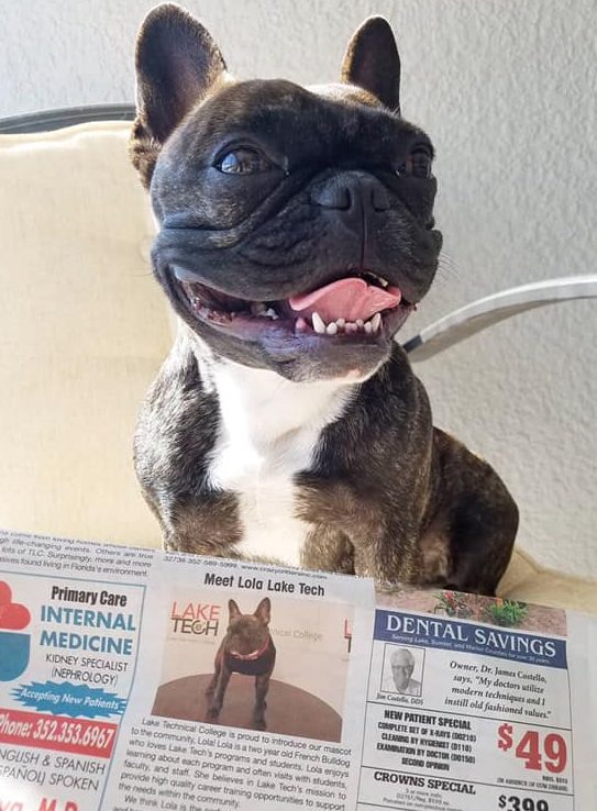 lola and her newspaper ad e1549924820746 Friday Update 02/08/19