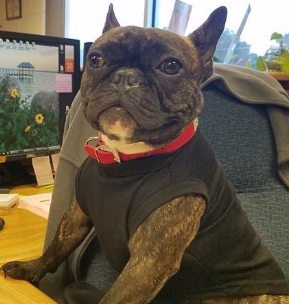 Lola at the desk