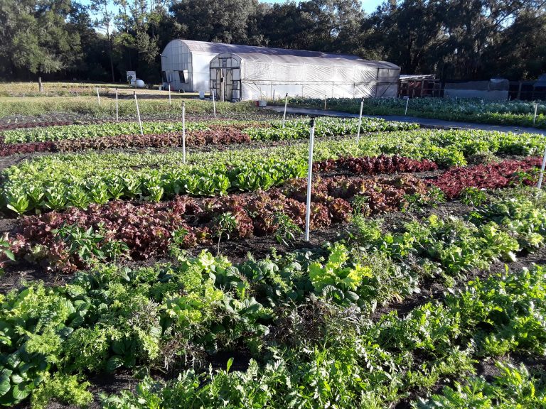 Bountiful Farms Lake Technical College graduates Gareth and Jessica