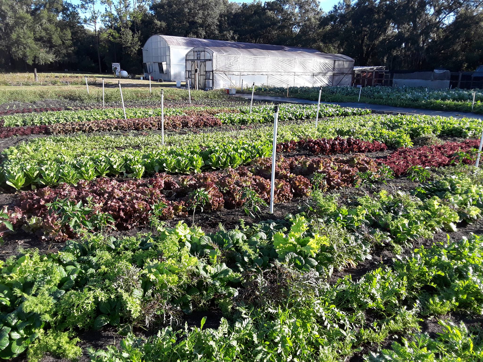 Bountiful Farms BF4 Bountiful Farms