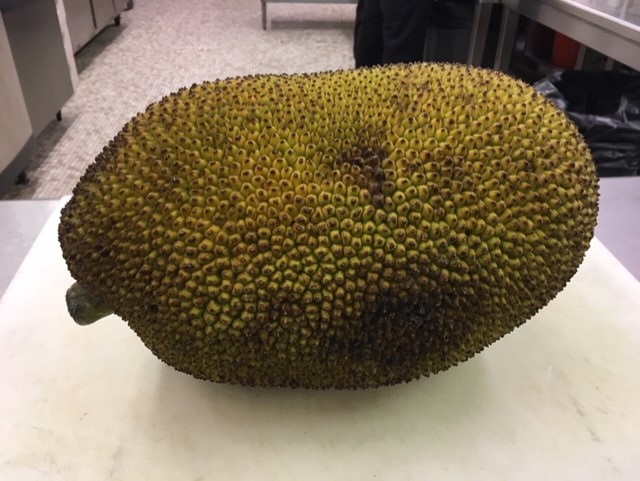 Culinary Jackfruit1 013120 Academic Affairs 01/31/20