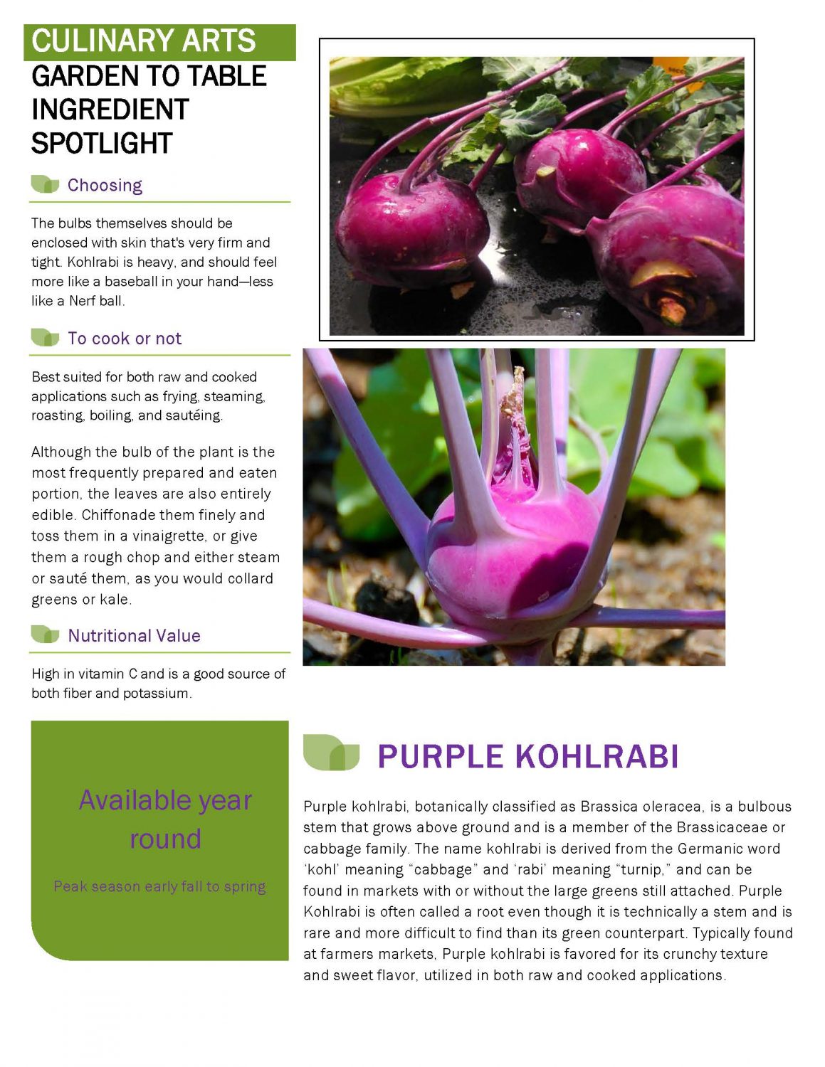 Culinary garden news letter 013120 Page 1 scaled Academic Affairs 01/31/20