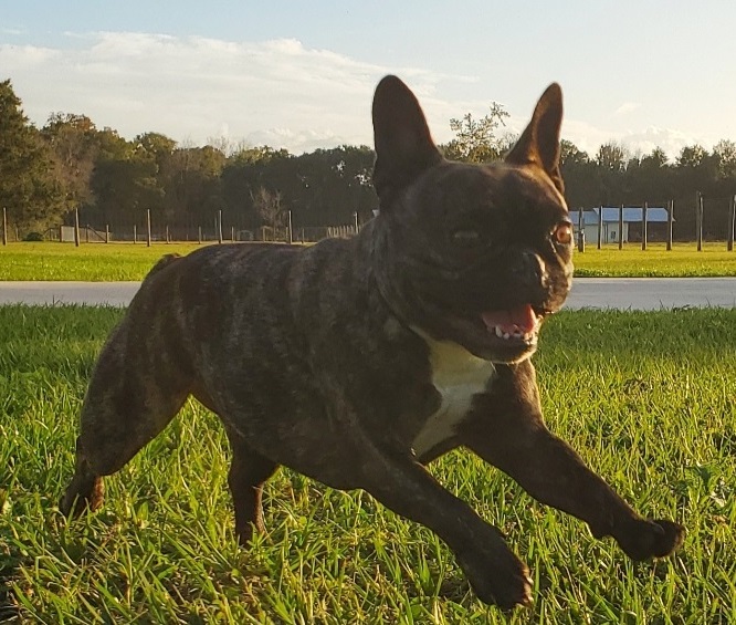 Lola Running