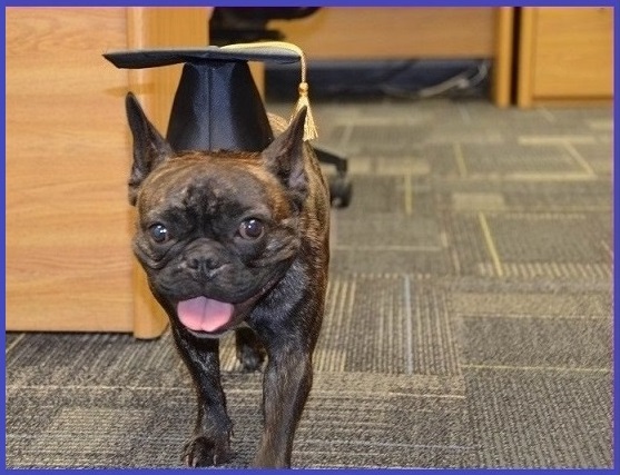 Lola Graduate of LTC