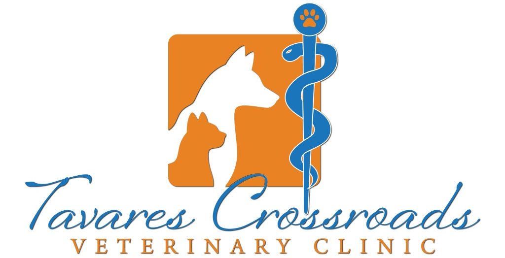 Tavares Crossroads Vet Logo e1681390214952 Proud Partners